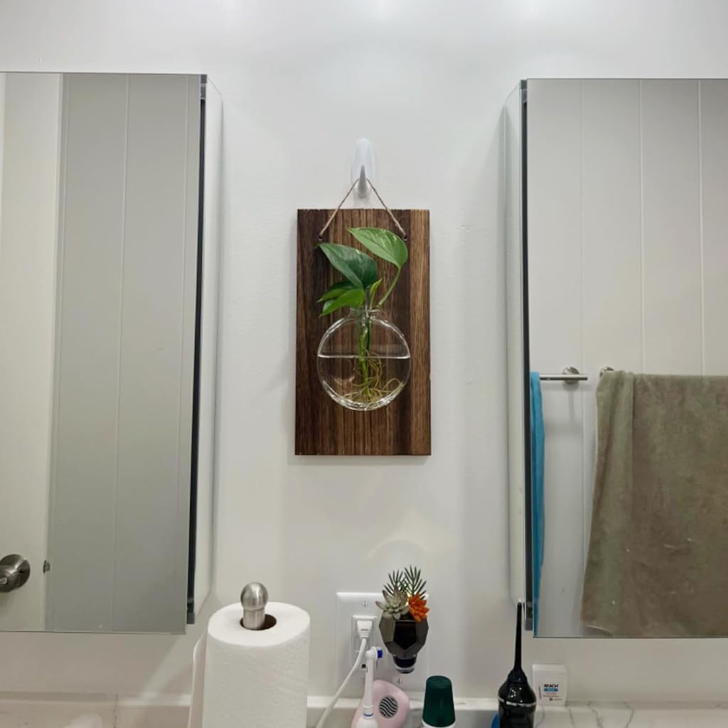 HASTHIP Glass Hydroponic Kit for Home Decor with Wooden Board and Hemp Rope | 18x33cm Wall Hanging Planter