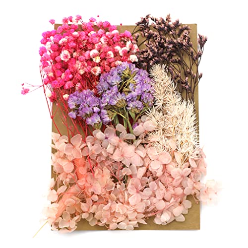 Supvox® Natural Dried Flower for Resin Art Decorative Dried Pressed Flowers for Candle, Handmade Epoxy Crafts, DIY Jewelry Accessories, Photoframe Ornament Dry Flowers
