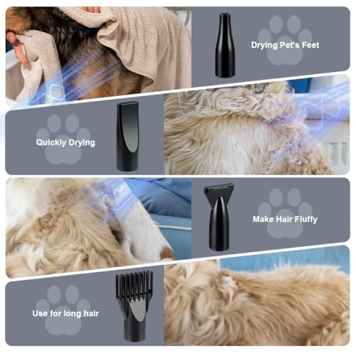 Qpets® Dog Dryer for Pet Hair Dryer for Dogs 5.2HP/3800W Pet Grooming Dryer Adjustable Speed with Three Nozzle Quick Dry Pet Hair Dryer