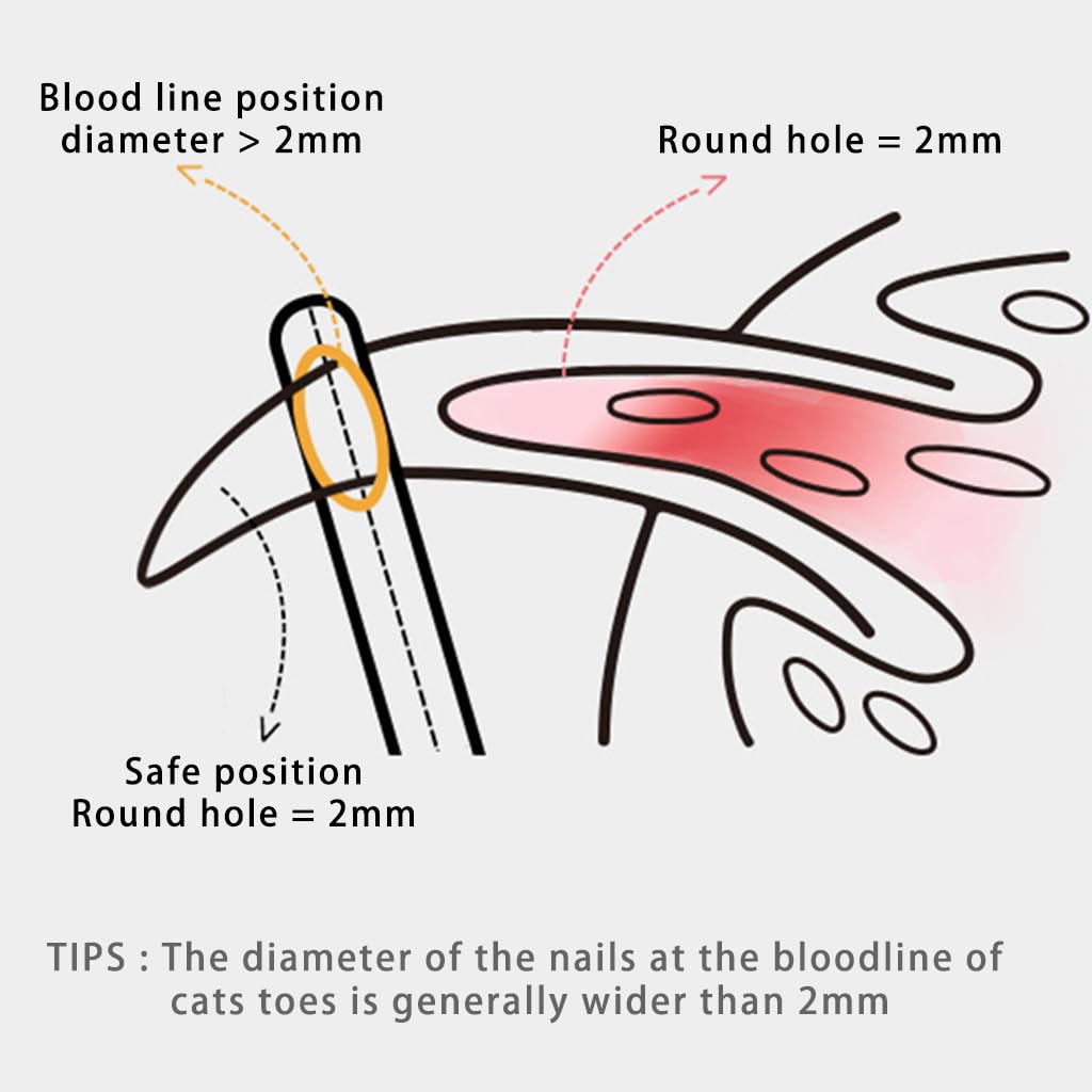 Qpets Cat Nail Cutter with 2mm Crescent Blade and Ergonomic PP Handle | 3 PCS Set