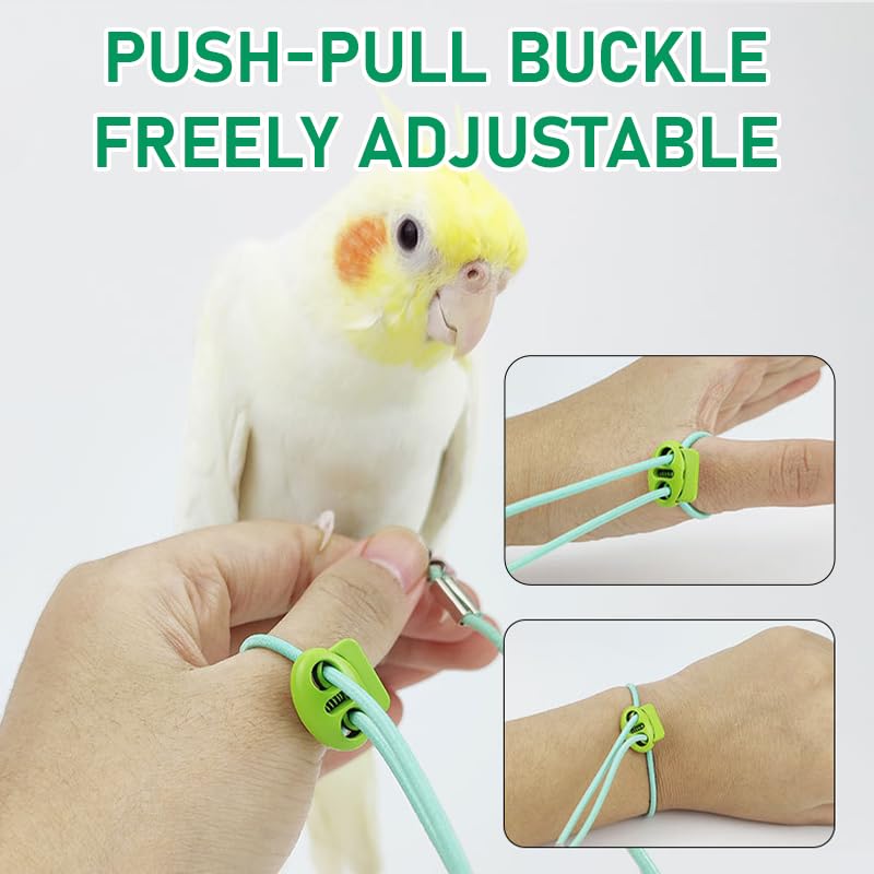 ZIBUYU Parrot Leash for Outdoor Exploration with 6.6ft Elastic Cord and Metal Feet Loop