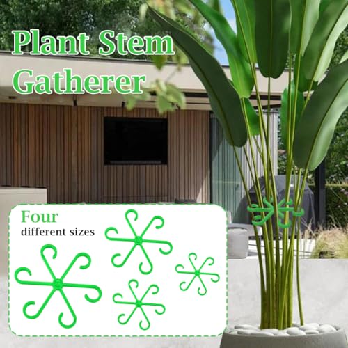 HASTHIP 4Pcs Plant Supports Multi Sizes Plant Supports Rings  6-Claw Plastic Plant Stem Supports