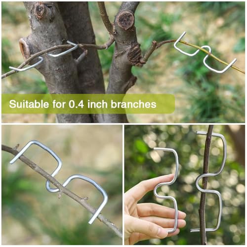 HASTHIP® Plant Branch Benders Fruit Tree Spreader Support Puller Tying Machine Farm Tools New Plum Open Angle Stereotyped Bending Tool 2 PCS