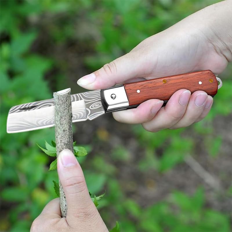 HASTHIP Grafting Cutter Tool for Fruit Trees and Flowers with 7.56 in Folding Design featuring Curved Steel Blade and Anti Slip Wooden Handle | Includes 1 Roll Grafting Tape