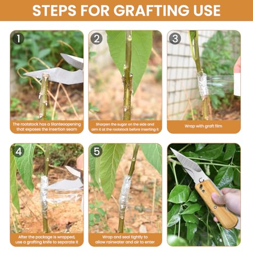 HASTHIP® Grafting Cutter Tool 3 in 1 Gardening Shears Wooden Handle Rugged Steel Cleft with Sheath Multifunctional 3PCS