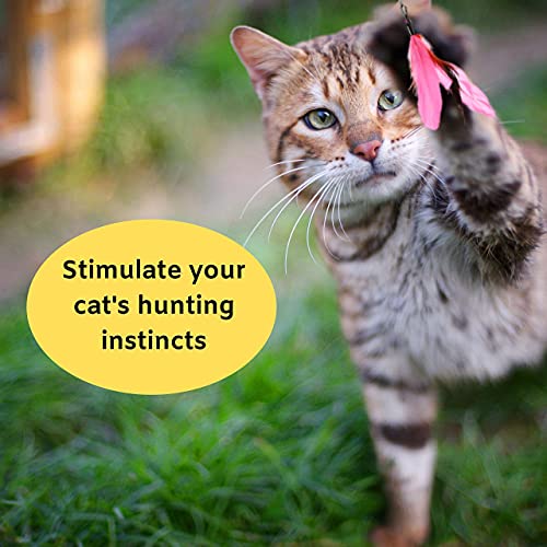 Qpets® 12PCS Cat Toys 2 Retractable Cat Wand Toys and 10PCS Replacement Teaser with Bell Refills Interactive Toys Catcher Teaser and Funny Exercise Feather Toys for Kitten Cats Pet