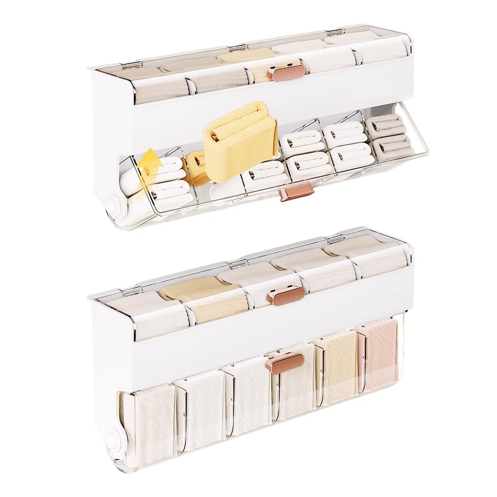 HASTHIP Underwear Storage Box with 11 Clear Compartments and Double Layer Design | Waterproof Wall Mounted Organizer 38x9x16.5cm