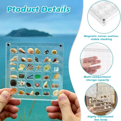 Supvox® Seashell Collection Box Collectible Sea Shell Organizer Display with Strong Magnets 36-Compartment Clear Acrylic Mini 12.5x12.5cm 2PCS
