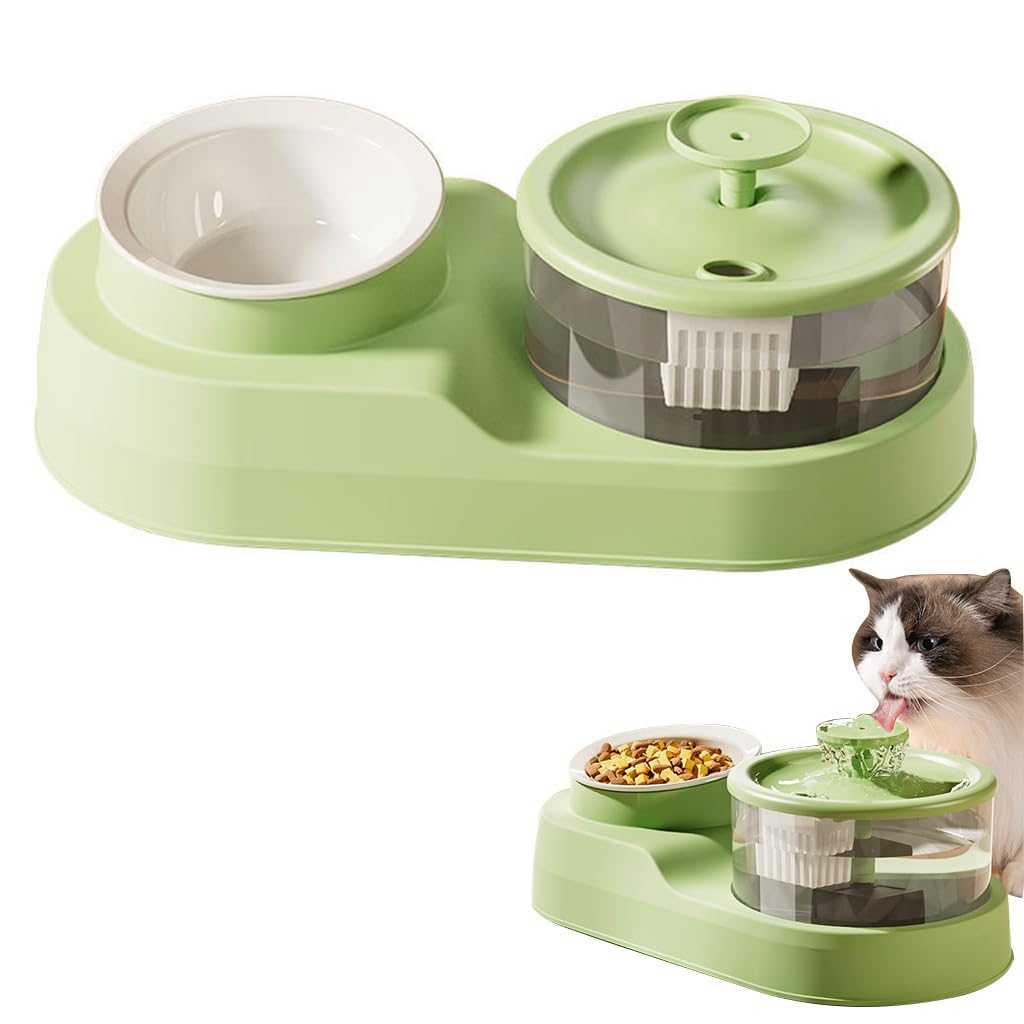 Qpets® Cat Food Bowls, 2 in 1 Cat Food Feeder and Water Dispenser, Cat Feeding Bowl with Electric Water Fountain 16° Tilted Food Bowl for Small and Medium Pets Cats Puppies