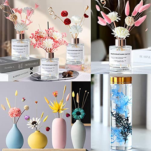 Supvox® Natural Dried Flower for Resin Art Decorative Dried Pressed Flowers for Candle, Handmade Epoxy Crafts, DIY Jewelry Accessories, Photoframe Ornament Dry Flowers