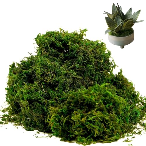 HASTHIP® Artificial Moss Fake Green Grass for Centerpieces Home