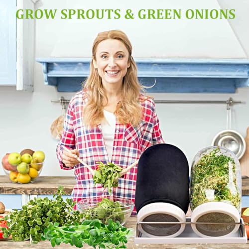 HASTHIP® Seed Sprouting Jar Kit Bean Sprouts Maker 32OZ Glass with Ventilation Mesh Screen Lids Light Shield Brush for Homemade Edible 2 PCS