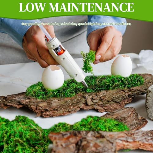 HASTHIP® Realistic Moss for Planter Decorative Fake Miniature Garden Decor 200g Dark Green 2PCS