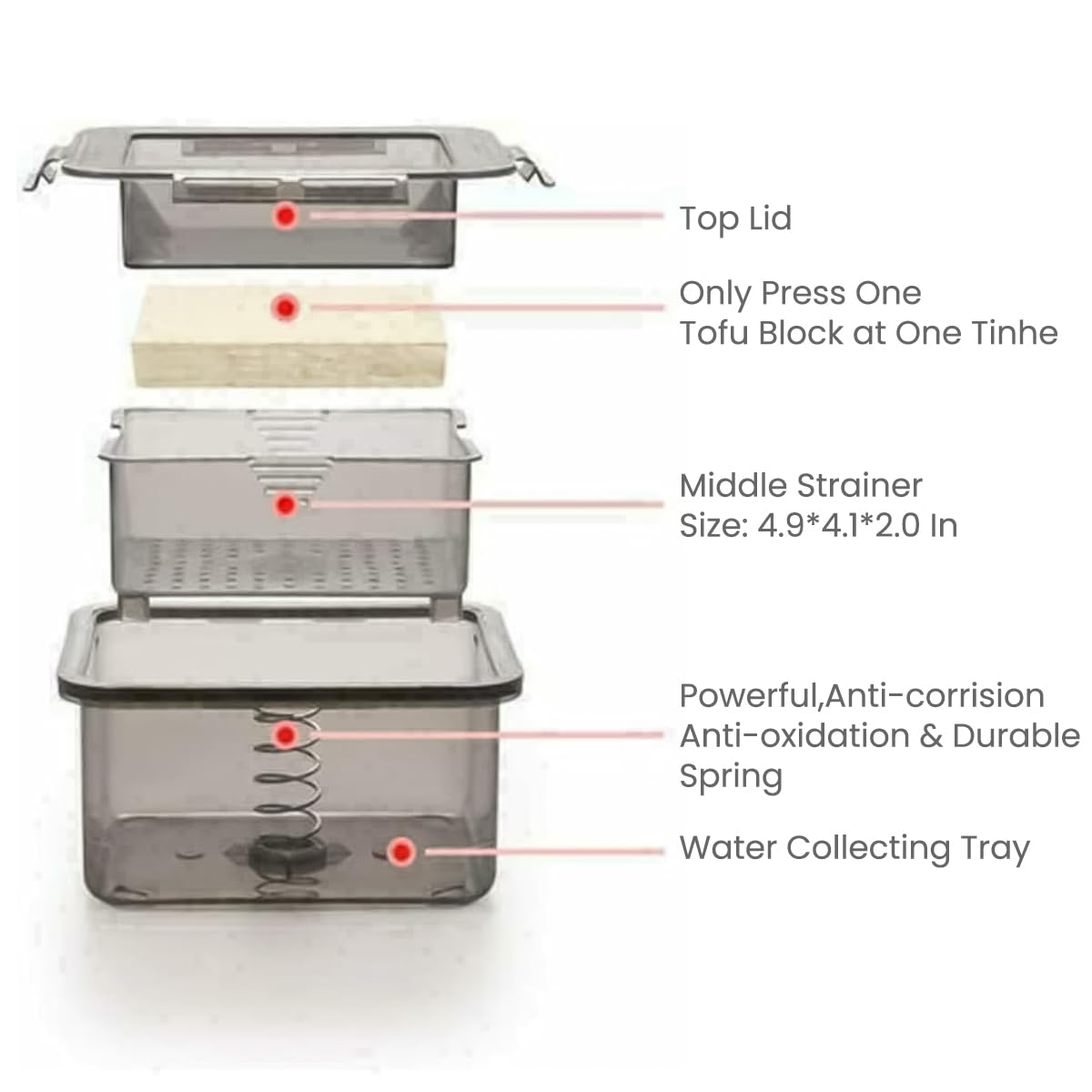 HASTHIP Tofu Press for Homemade Tofu with Efficient Spring Press Mechanism 16x14x8.5cm | Food Grade PP