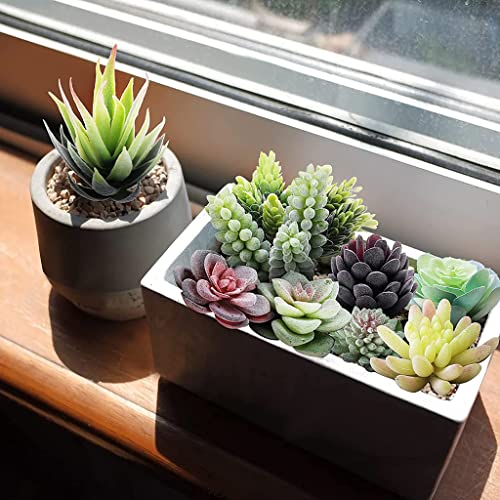 HASTHIP® 20Pcs Realistic Artificial Succulents for Home Decor, DIY Landscape Decorations Odorless, Safe for Pets Maintenance-Free, Time-Saving Versatile, Glamorous Floral Set