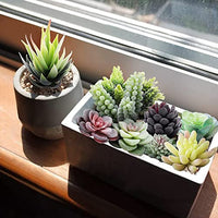 HASTHIP® 20Pcs Realistic Artificial Succulents for Home Decor, DIY Landscape Decorations Odorless, Safe for Pets Maintenance-Free, Time-Saving Versatile, Glamorous Floral Set