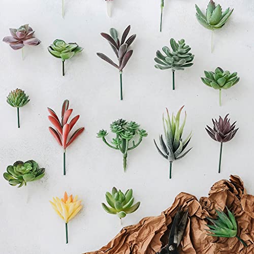 HASTHIP® 20Pcs Realistic Artificial Succulents for Home Decor, DIY Landscape Decorations Odorless, Safe for Pets Maintenance-Free, Time-Saving Versatile, Glamorous Floral Set