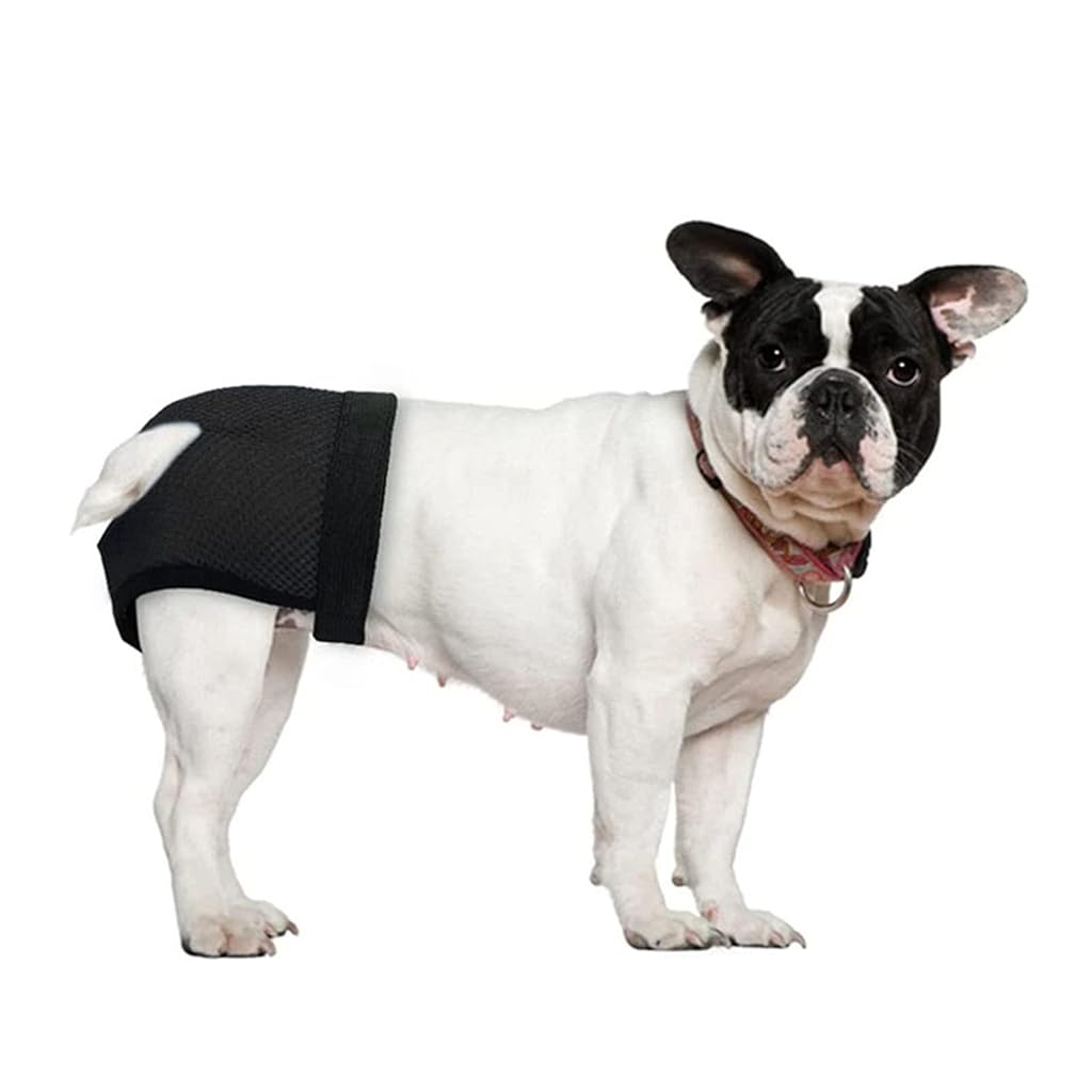 Qpets® Pet Use Breathable Reusable Dog Diapers Female with 3 Absorbption Cotton Pad Comfort Doggy for Puppy L Recommended Waist 15.7-19.2 Inch 2 PCS