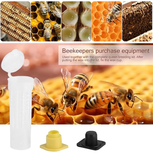 HASTHIP® 20PCS Queen Bee Cages with Snap-On Lids Vented Plastic Introduction Cages with Bottom Candy Plug for Safe Reusable 2.6cm x 7.8cm