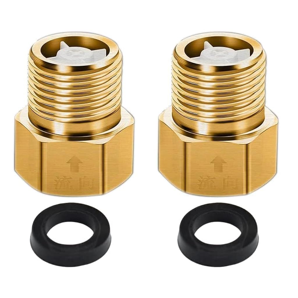 Serplex® Brass Check Valve 1/2
