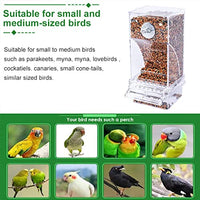 Qpets® Automatic Bird Feeder for Cage, Birds Food Feeder, Birds Cage, Parrot Seed Feeders with Perch Acrylic Transparent Seed Food Container Cages for Small and Medium Lovebirds Parakeets