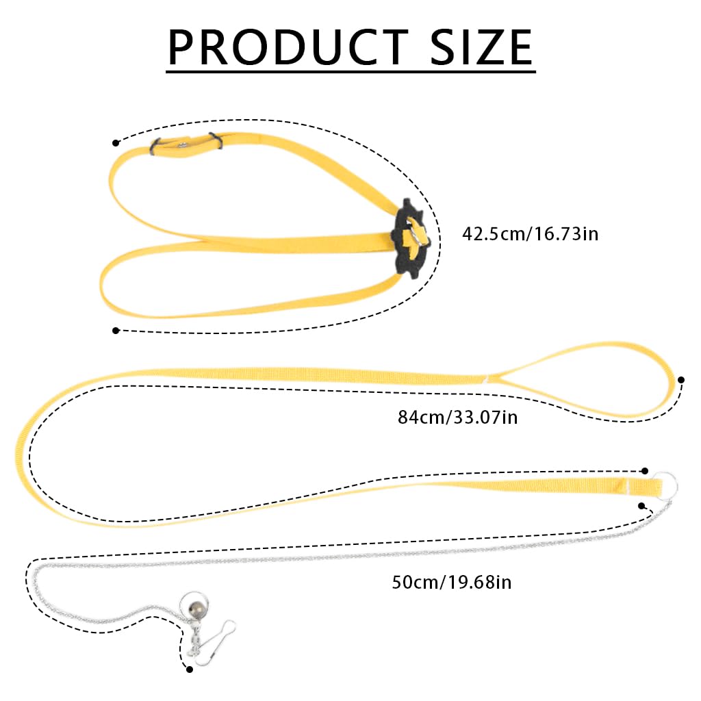 Qpets Tortoise Harness Strap for Small Turtles with 3.9ft Rope | Adjustable Synthetic Leather Lead