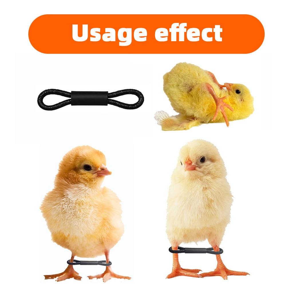 ZIBUYU Chicken Leg Loops for Chick Splay Leg Correction featuring Figure 8 Design | 100pcs