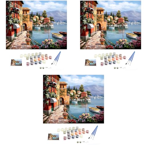 HASTHIP® DIY Oil Painting, 40 * 50CM Paint by Numbers Kits, Painting Kit for Adults and Kids, Unframed Printed Canvas for Home Wall Decor, Style 2 3 PCS