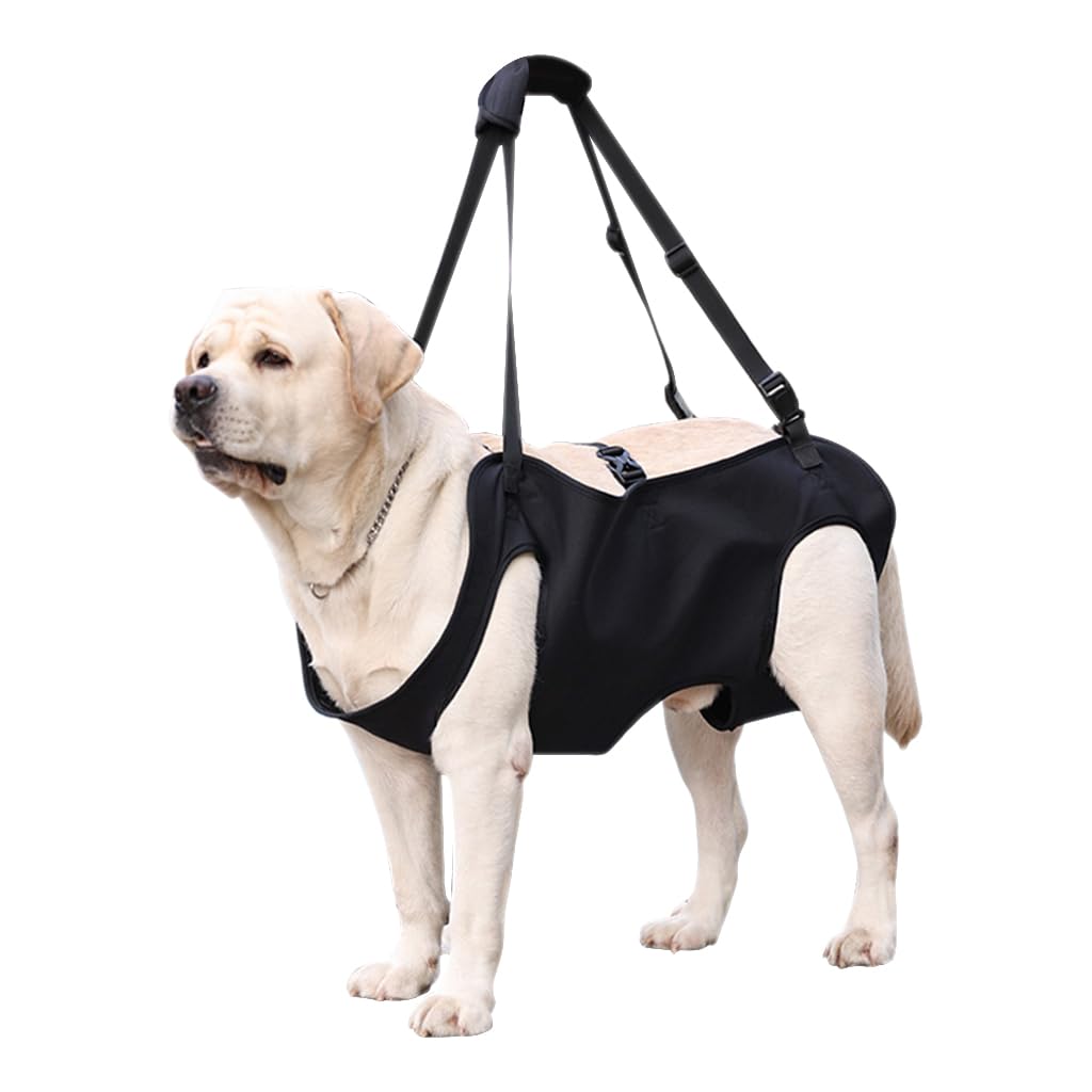Qpets Dog Lift Harness, Walking Assistant Lifting Harness Dog Walking Support, Adjustable Length and Size Dog Walking Assistant Harness for Aging Dog, Disabled, Injured Dog (XL)