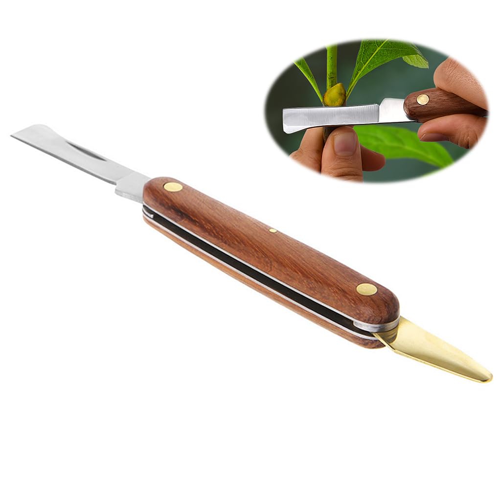 HASTHIP Grafting Cutter for Plants with Dual Blade and Rosewood Handle | Foldable Stainless Steel Budding Tool