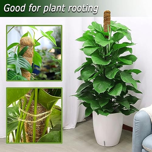 HASTHIP® 2pcs 75cm Moss Stick for Plants, Bendable Plant Stakes and Supports for Money Plant, Climbing Indoor Potted Plants, Natural Coconut Fiber Plants Pole