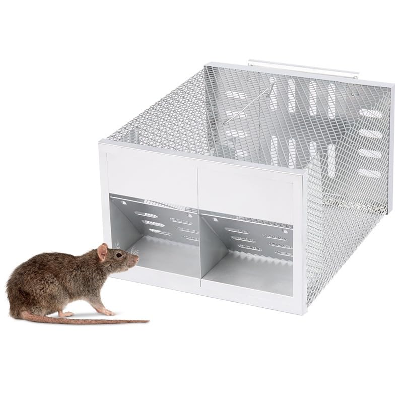 HASTHIP® Rat Trap with Double Opening One-Way Door 12 x 9 x 6 Inch Automatic