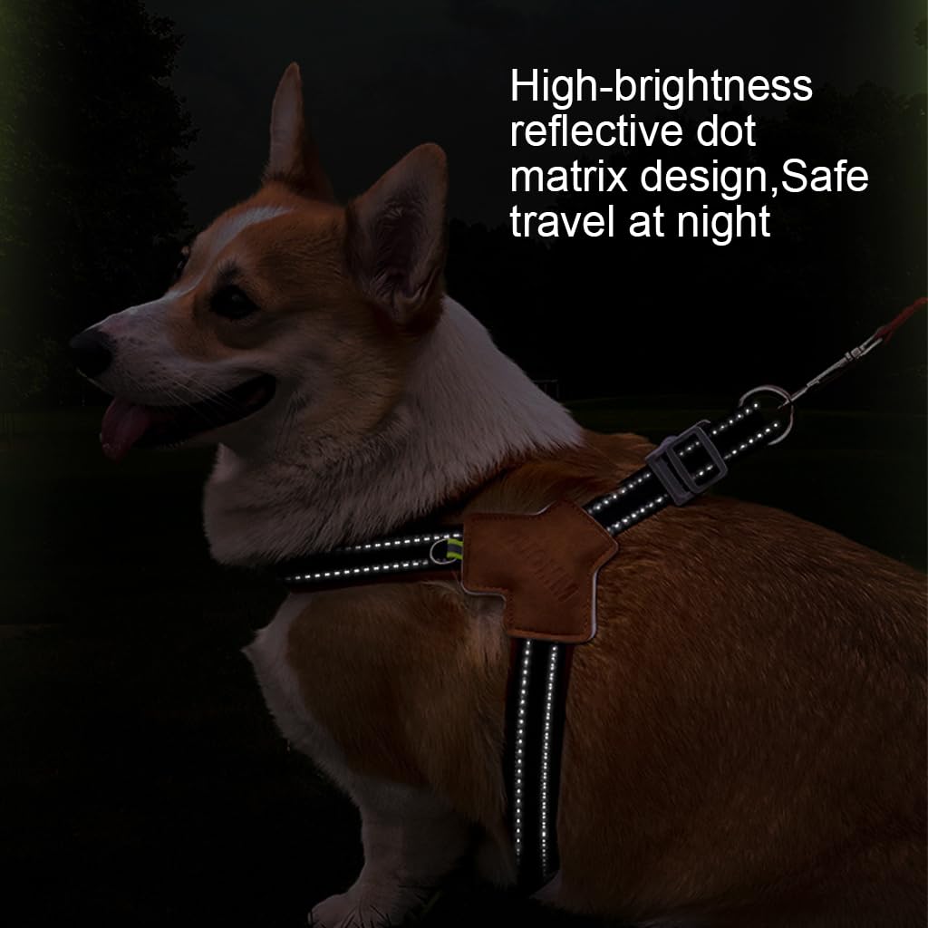 Qpets Reflective Dog Harness for Safe Night Walking with Dual D-Rings and Soft Padded Y-Shape Design