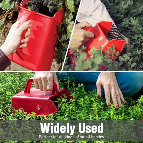HASTHIP Metallic Berry Picker Comb & Rake - Plastic Blueberry Picker Scoop With Ergonomic Handl - Fruit Picker Tool - Blueberry Rake Scoop for Orchard - Easier Berry Picking for Blackberries & Cherry