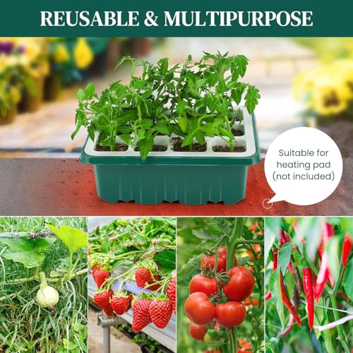 HASTHIP® Seed Starter Tray with 12 Seeding Pots Reusable Silicone Multi Start Tray with Ventilation Clear Lid Drip 2 Dual-Head Tools Transplanting Mat 10 Blank Labels 3 PCS