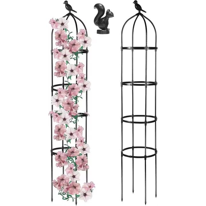 HASTHIP® Garden Plant Support Cages Stakes, Durable Metal Frames for Climbing Plants, Vegetables & Flowers, Rust-Resistant, for Indoor & Outdoor Gardening