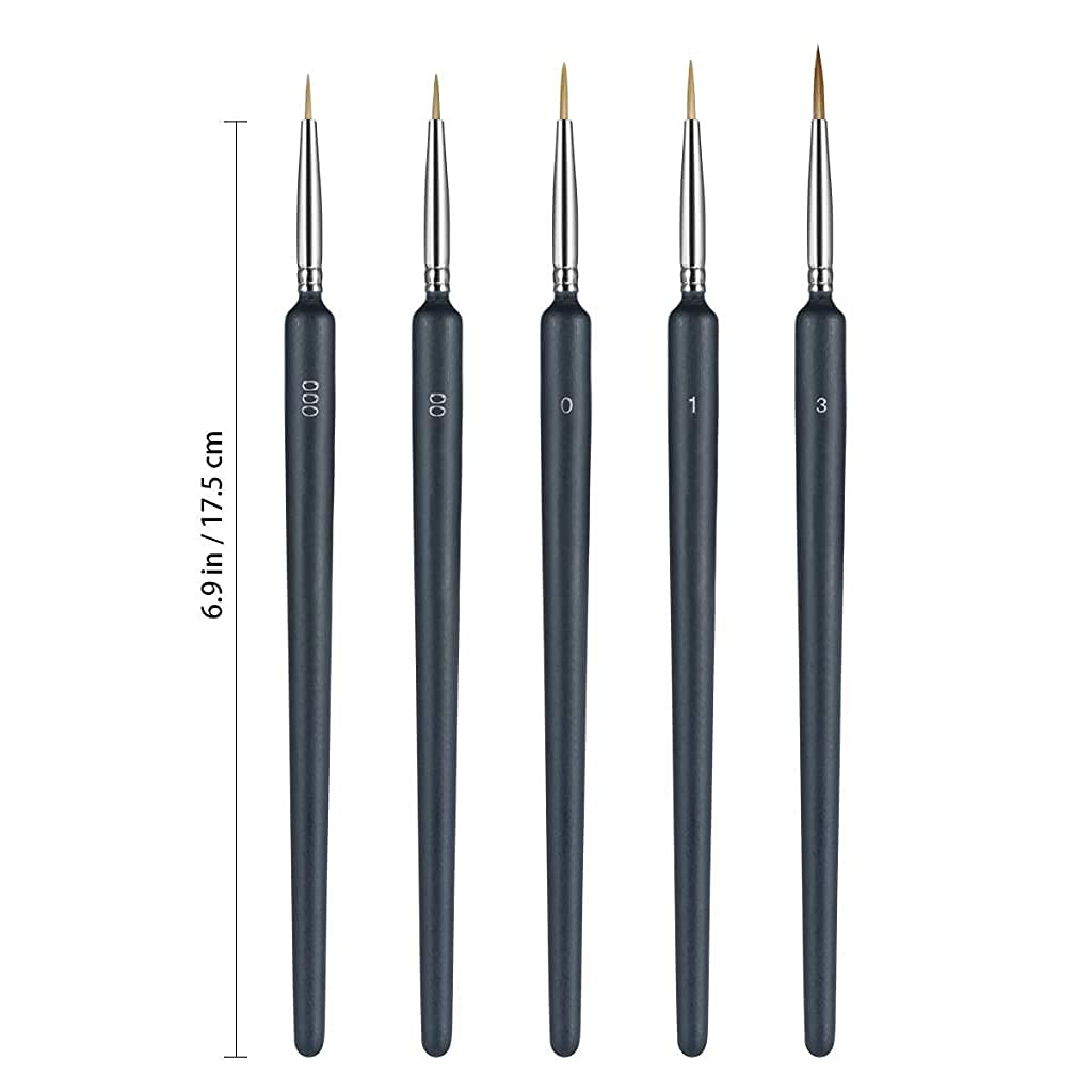 HASTHIP® 10 Pieces Fine Detail Paint Brush Miniature Painting Brushes Kit Mini Paints Brush Set for Acrylic, Watercolor, Oil, Face, Nail, Scale Model Painting, Line Drawing(Black)