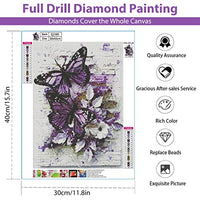 HASTHIP® Diamond Painting Kit, 5D Diamond Painting Kit for Adults & Kids, 12x16inch DIY 5D Round Full Drill Butterfly Diamond Art, Very Suitable for Home Leisure and Wall Decoration