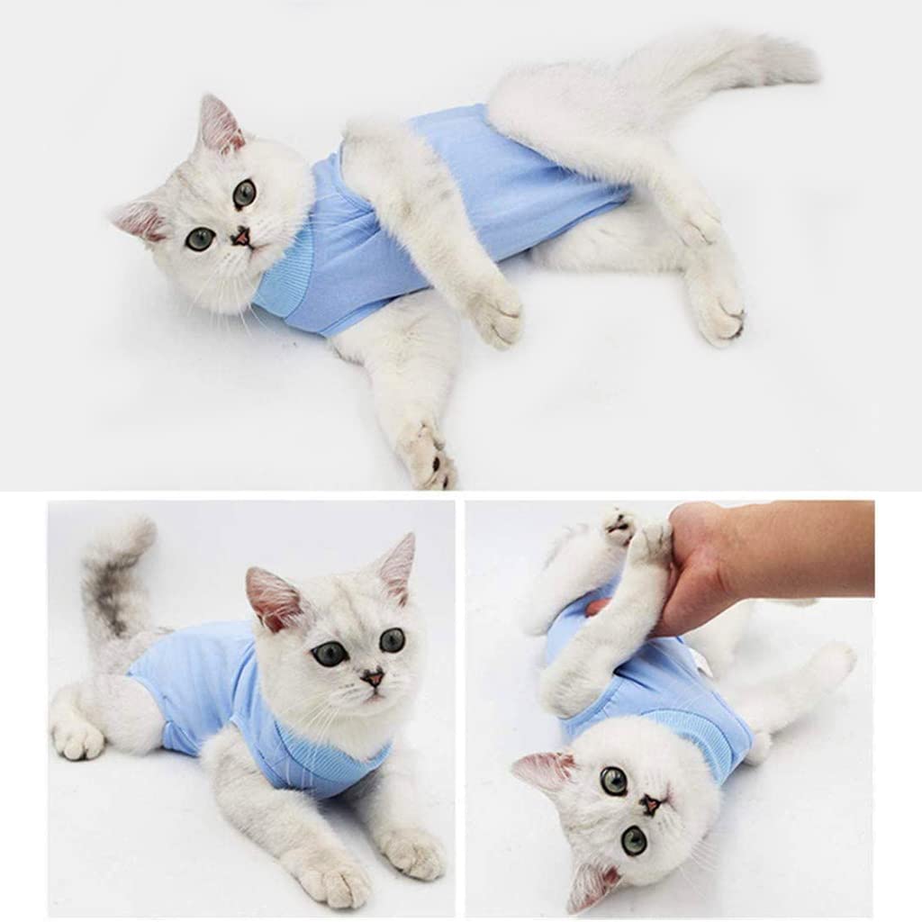 Qpets Cat Recovery Suit for Post Surgery Healing with Adjustable Velcro Closure | Cotton Fabric Size M