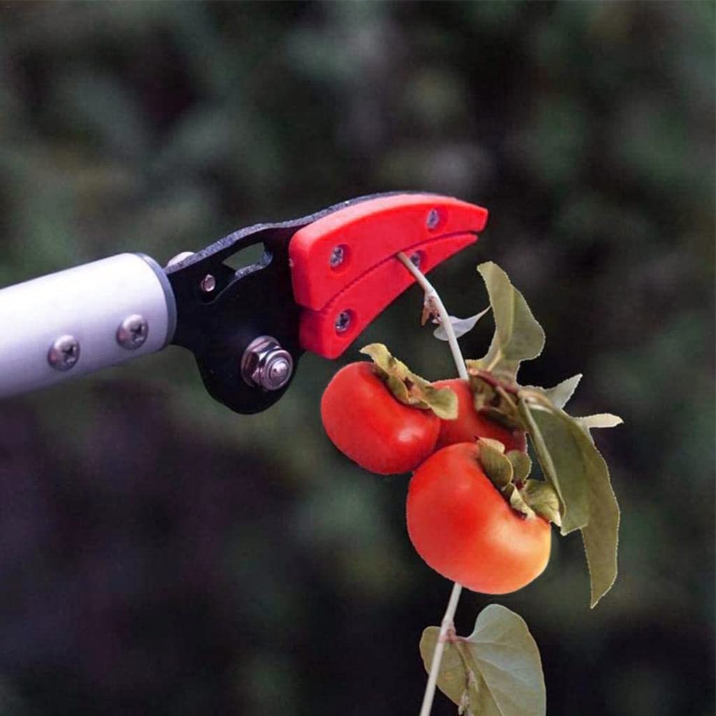 HASTHIP Fruit Plucker for High Branch Cutting with 100cm Aluminum Pole and SK5 Blade | Ergonomic Handle