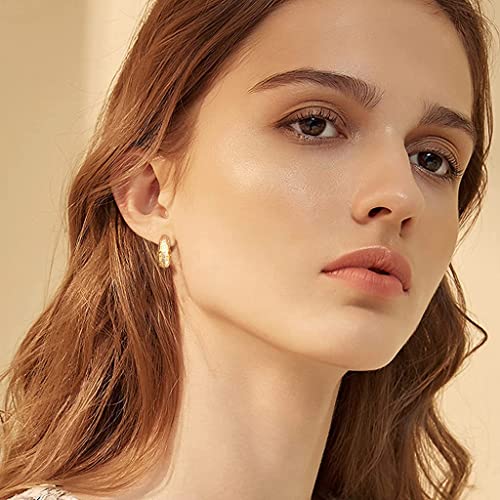 SANNIDHI® 1 Pair Stylish Hollow Rose Gold Hoop Earring for Women and Girls,19mm Round Earrings Eardrops Jewelry Gift for Wife and Girlfriend,Nest