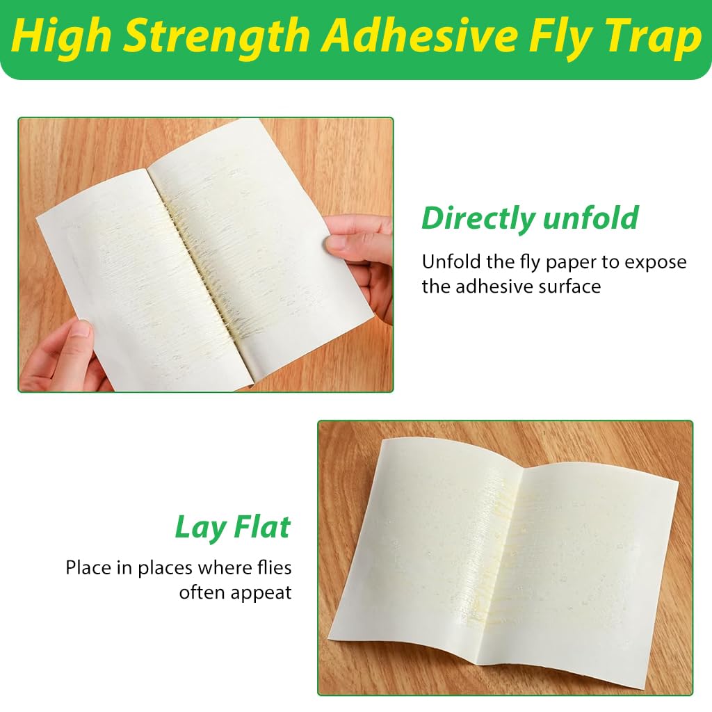 HASTHIP Adhesive Fly Trap for Kitchen and Garage with Large Surface Non-Toxic 10 Count | Odorless Insect Catcher