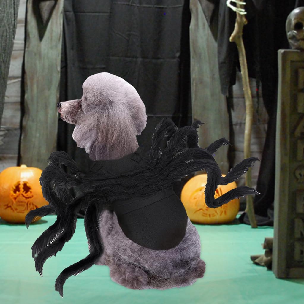 Qpets Halloween Dog Costume for Small Pets featuring 8-Claw Black Spider Design | Adjustable Fit
