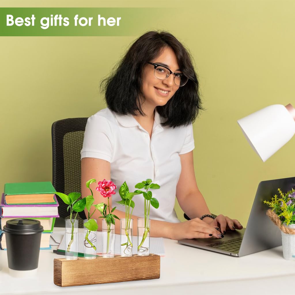 HASTHIP Glass Hydroponic Planters for Indoor Decor with Wooden Stand & 6 Tubes | Ideal Gift