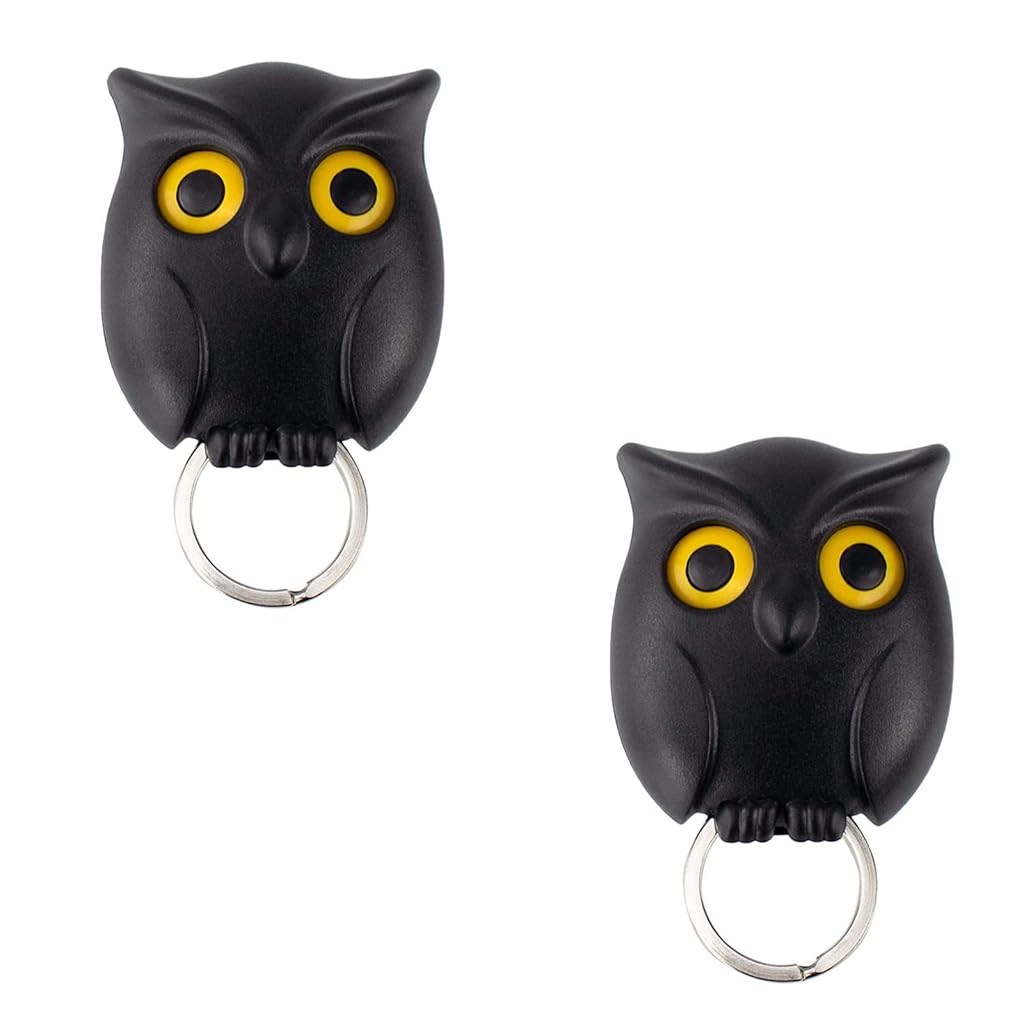 HASTHIP® Key Mount Wall Key Racks Organizers Cartoon Black Owl Keyring Wall Holders, Push-in Keyring Wall Grips, Fun Blink Eye Design, Self-adhesive Wall Key Holders for Entryway, Car