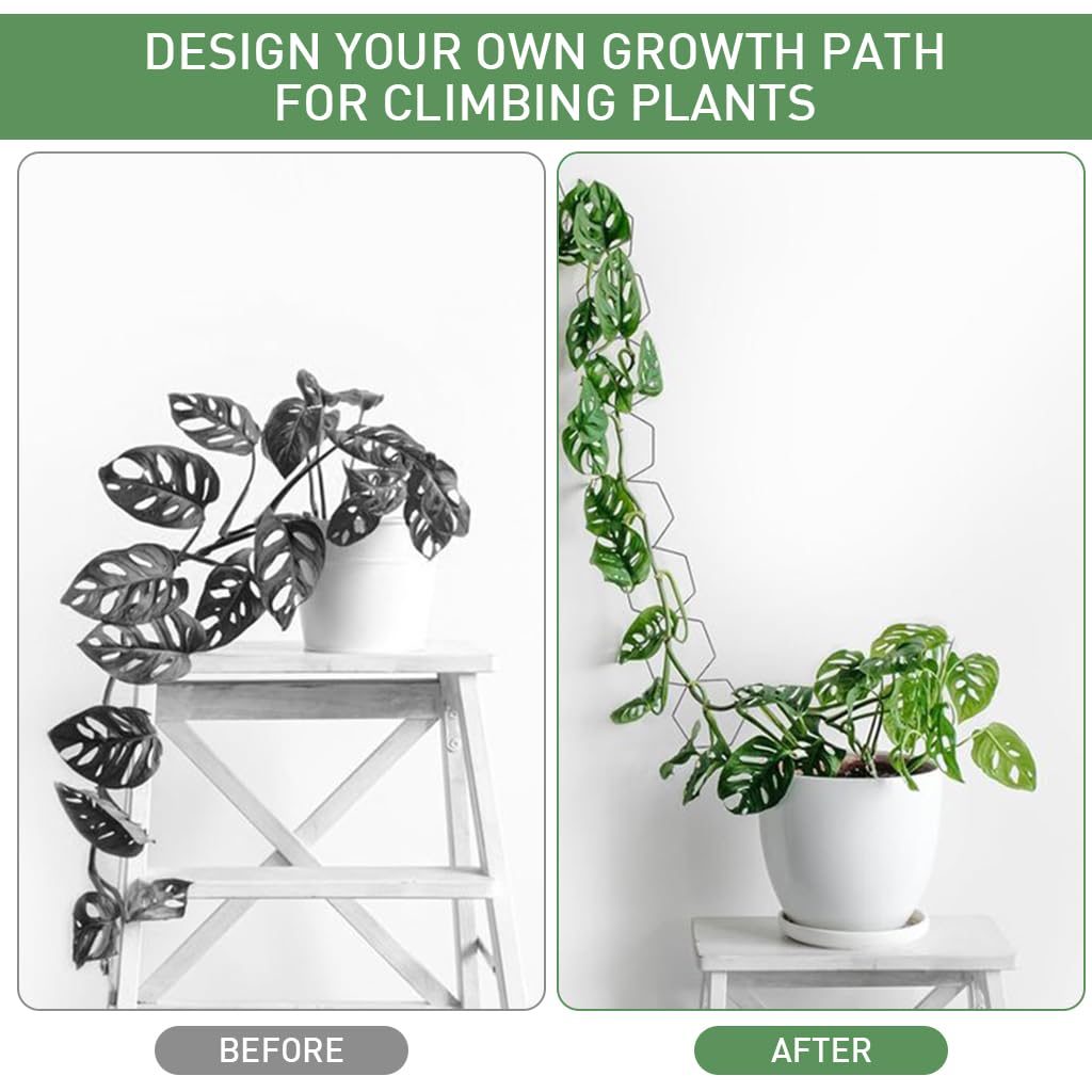 HASTHIP Garden Chain Trellis for Climbing Plants with 18Pcs 228cm Hexagon Metal Design | Indoor and Outdoor Wall Plant Support