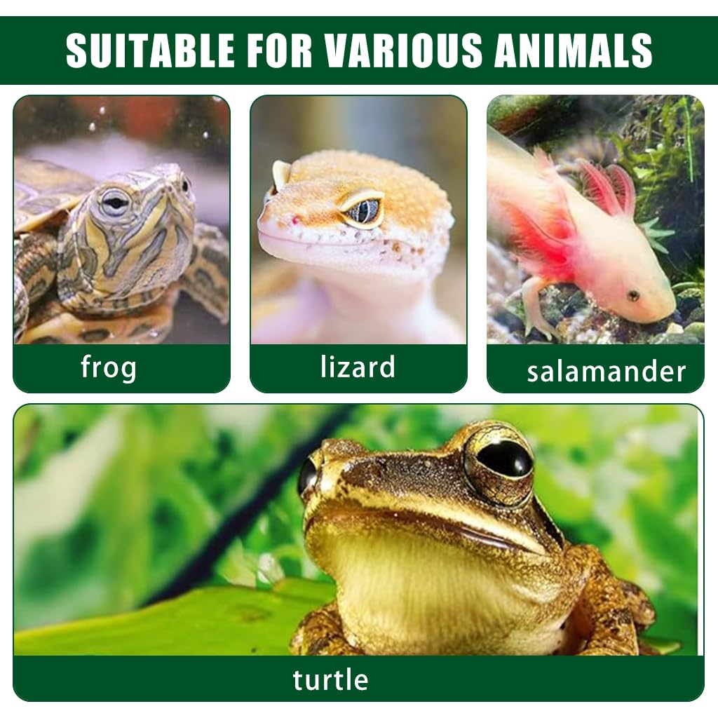 Qpets Turtle Basking Platform for Aquatic and Terrestrial Tanks with Suction Cups and Removable Turf | Wall Mounted Design for Comfortable Sunbathing