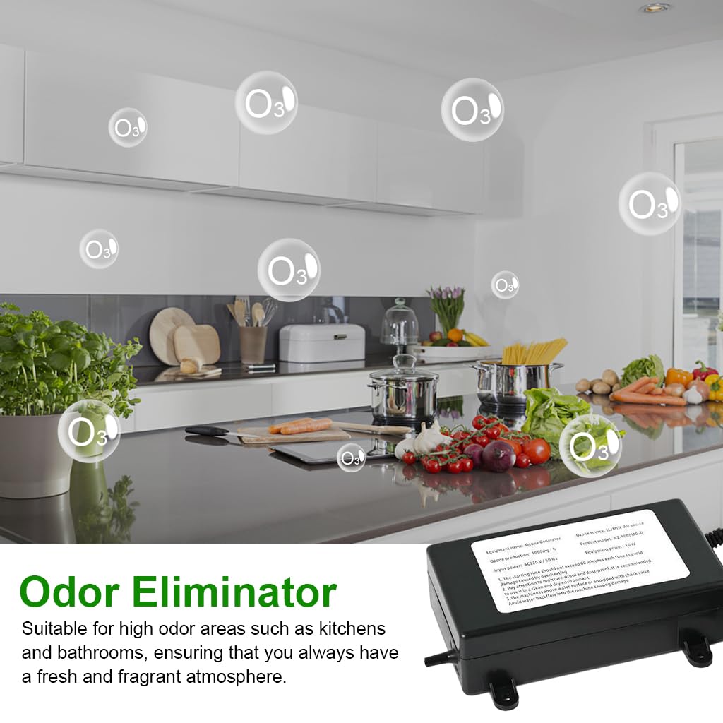 HASTHIP Ozone Generator for Air Purification and Water Treatment featuring 1000 mg h Output | Includes Diffusing Stone and Silicon Tube