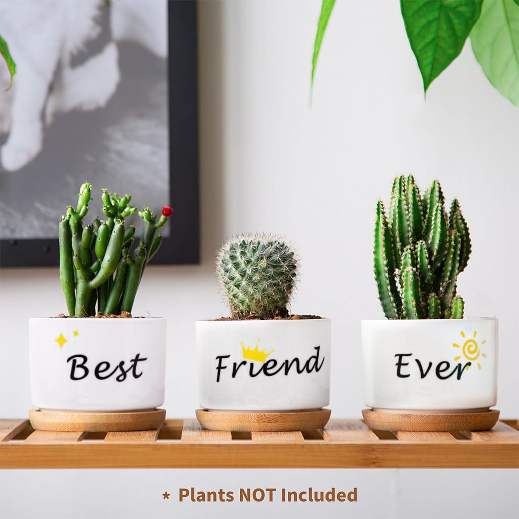 HASTHIP Ceramic Pots for Indoor Plants with Wooden Tray 9cm Set of 3 | Gift for Friends