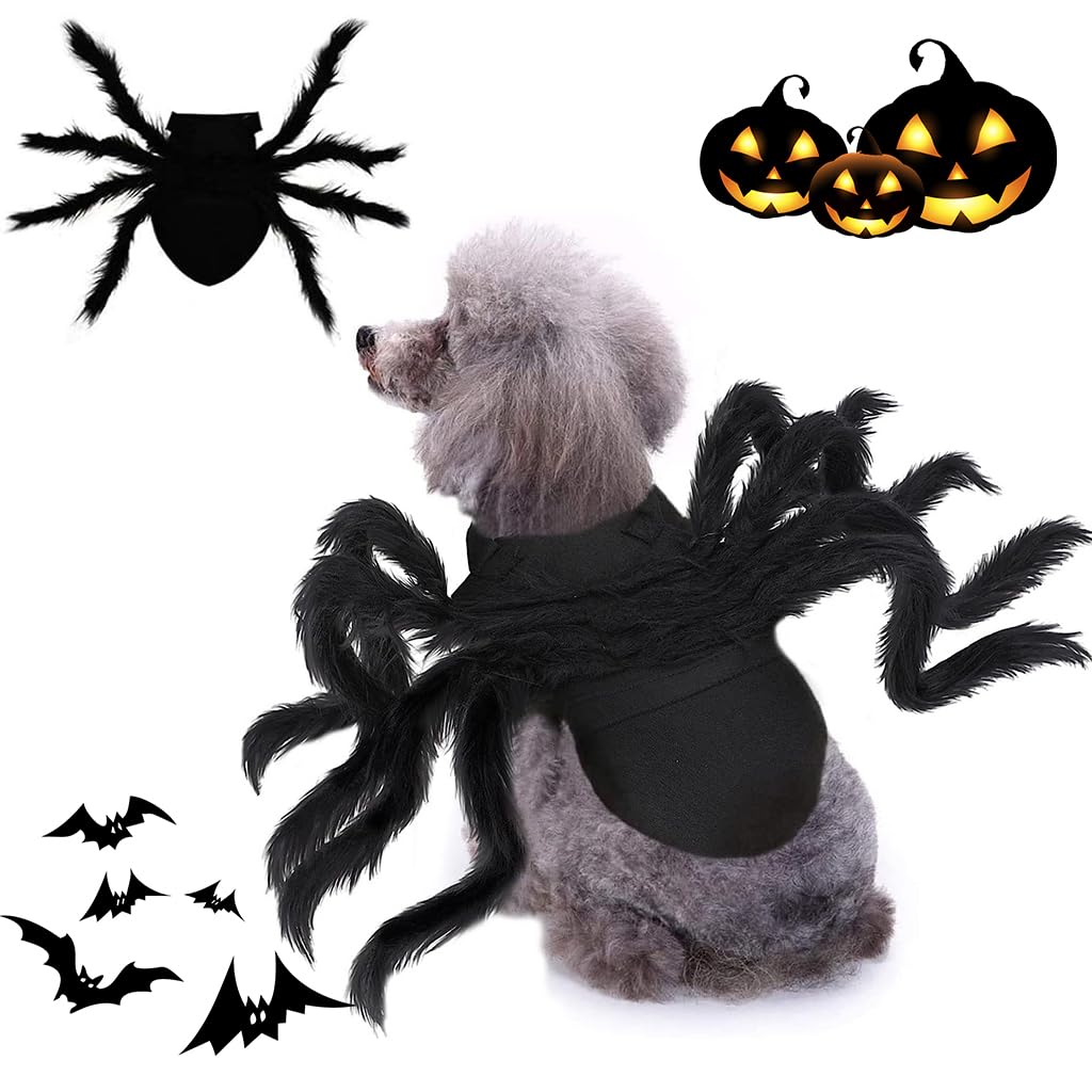 Qpets® Halloween Fun Dog Clothes, Small Dog Costume, Spooky Spider Dog Clothes Cats Clothes Small Dogs Cats Fun Halloween Costume, M